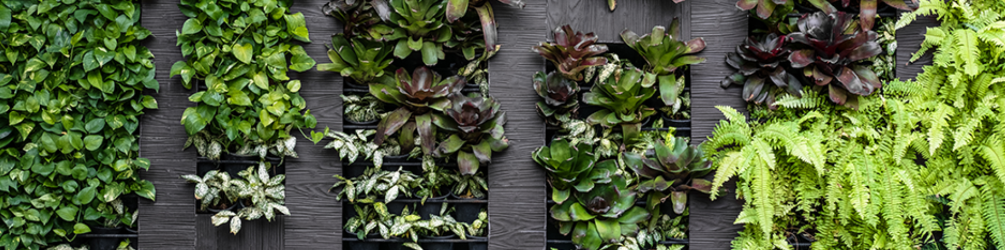 Jardins verticais